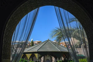a gazebo surrounded by palm trees and greenery